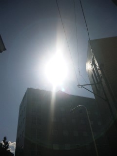 �����V�C