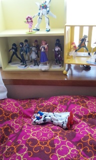 �B��̗����H