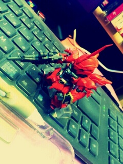 �J����������